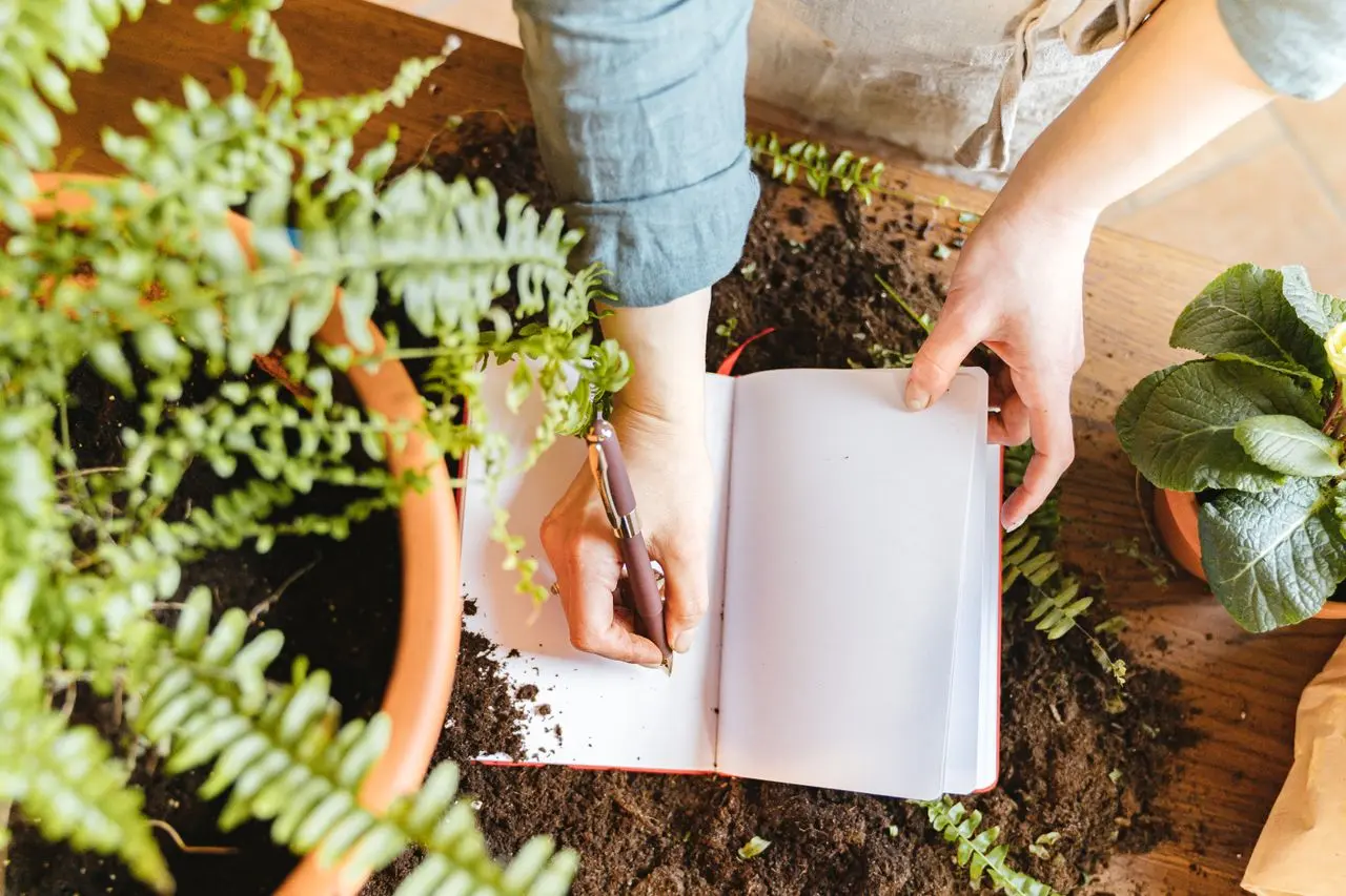 Hands writing financial plans in a notebook next to plants, symbolizing compound interest growth (Photo by Anthony Shkraba on Pexels)